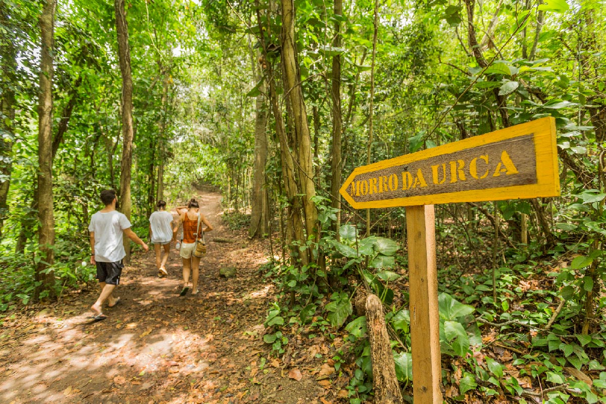 Trilha do Morro da Urca pela Praia Vermelha- Caminhada Fácil com Vista Incrível